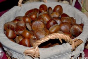 castagne2_ph-mariaconsigliaizzo